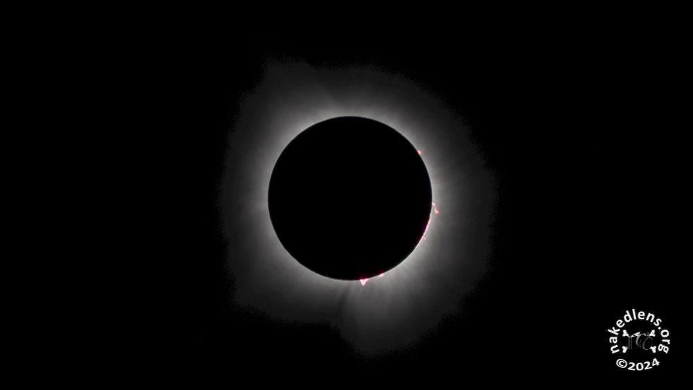 A photograph of a total solar eclipse that appears as a white ring against a black sky, with solar flares visible, taken in Dallas, Texas, USA on April 8, 2024.