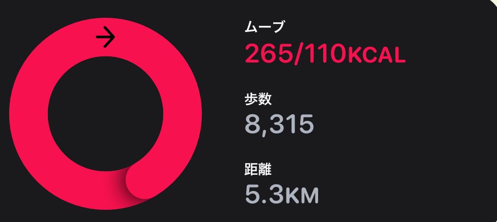 歩数 8315歩
距離 5.3キロメートル