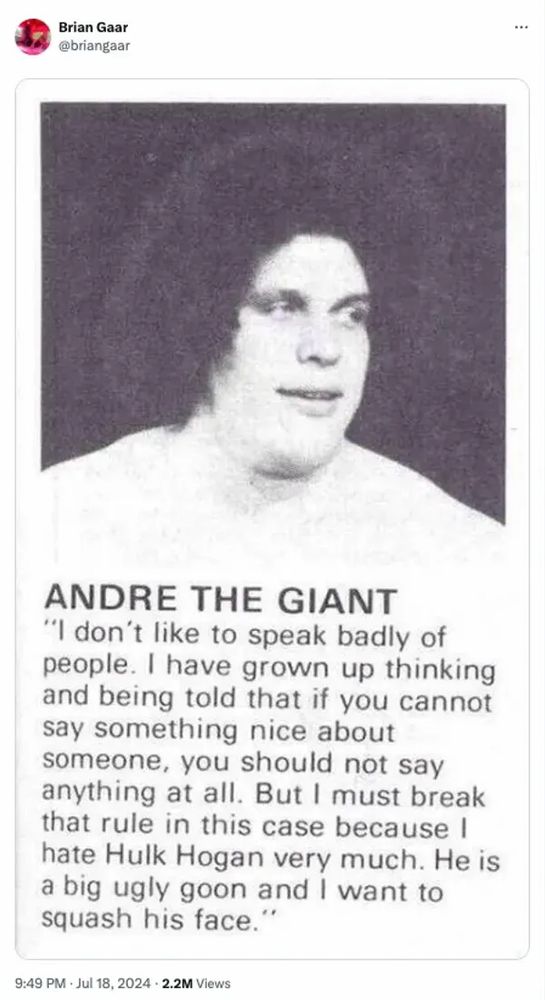 I don't like to speak badly of people. I have grown up thinking and being told that if you cannot say something nice about someone, you should not say anything at all. But I must break that rule in this case because I hate Hulk Hogan very much. He is a big ugly goon and I want to squash his face.

-Andre the Giant