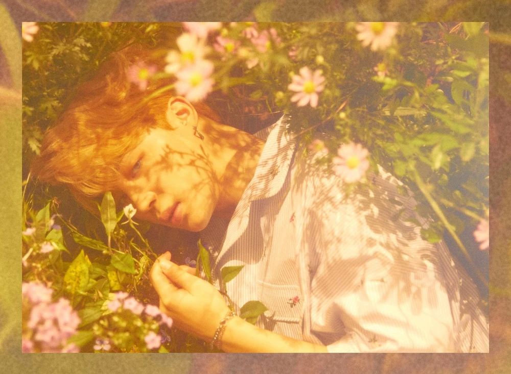 Jimin in a button up shirt lying in a field of pretty pink flowers, sunkissed and absolutely glowing. He is ethereal. Like a fairy prince. 