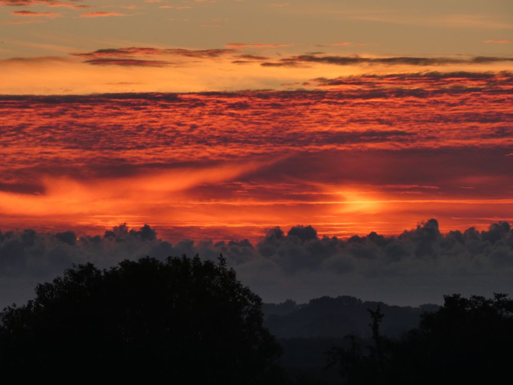 Fiery, sunlit clouds above the treeline.