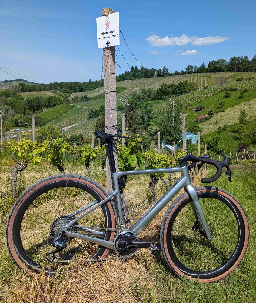 Gravelrad in Weinberge