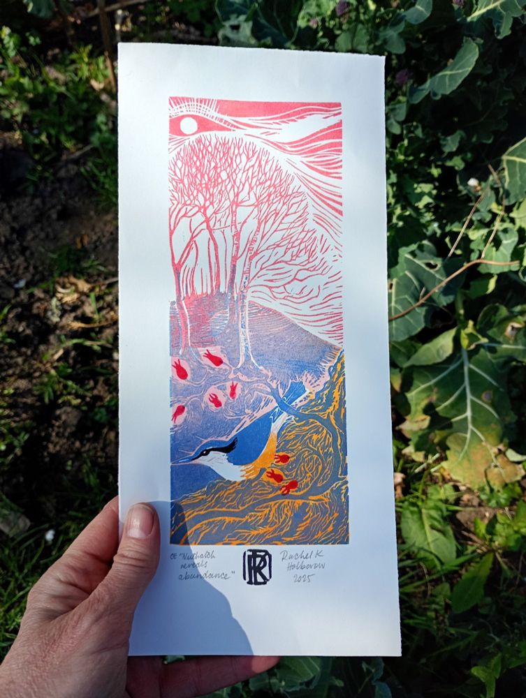A brightly coloured 3 block lino print in pinks, blues and orange of a nuthatch in an autumn birch wood.