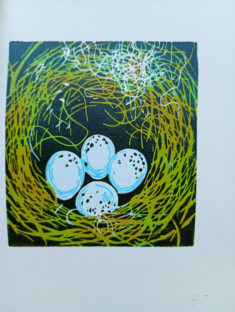 A four layer lino print in greens with 4 blue freckled bullfinch eggs and fluffy sheep fibres.