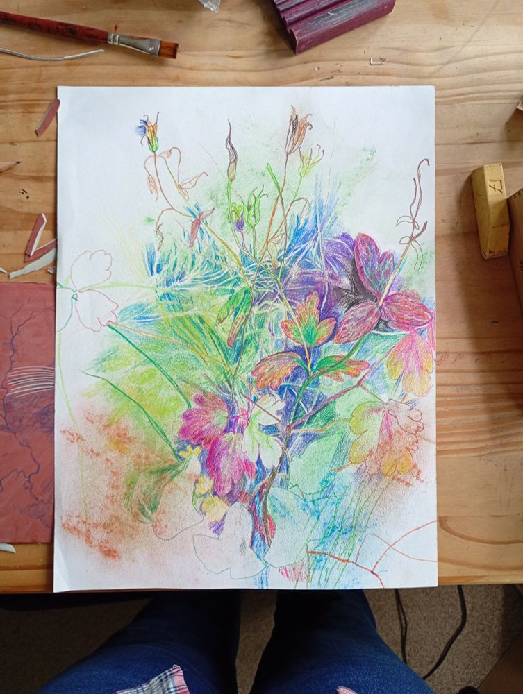 Drawing of aquilegia seed heads and leaves in a colours from greens through purples and pinks, browns and blues.