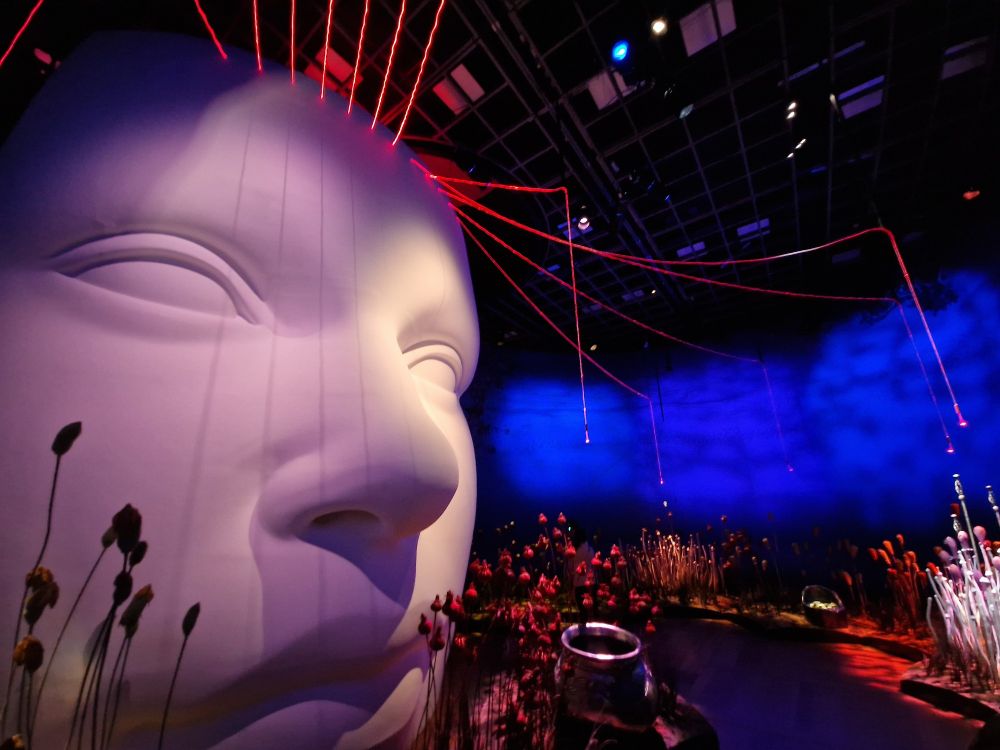 A dark room with a big face made of white material, red strands come out of its head and drip around the room, there are plants scattered around forming a path.