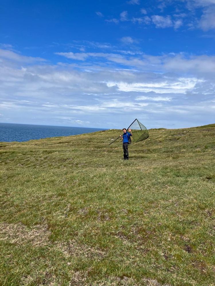 Catching Rock Doves in Uist.