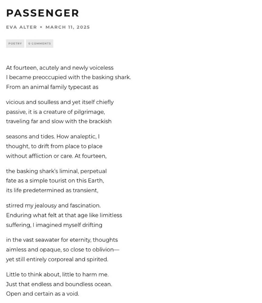 Passenger by Eva Alter

At fourteen, acutely and newly voiceless
I became preoccupied with the basking shark.
From an animal family typecast as

vicious and soulless and yet itself chiefly
passive, it is a creature of pilgrimage,
traveling far and slow with the brackish

seasons and tides. How analeptic, I 
thought, to drift from place to place
without affliction or care. At fourteen,

the basking shark’s liminal, perpetual
fate as a simple tourist on this Earth,
its life predetermined as transient,

stirred my jealousy and fascination.
Enduring what felt at that age like limitless
suffering, I imagined myself drifting

in the vast seawater for eternity, thoughts
aimless and opaque, so close to oblivion—
yet still entirely corporeal and spirited.

Little to think about, little to harm me.
Just that endless and boundless ocean.
Open and certain as a void.