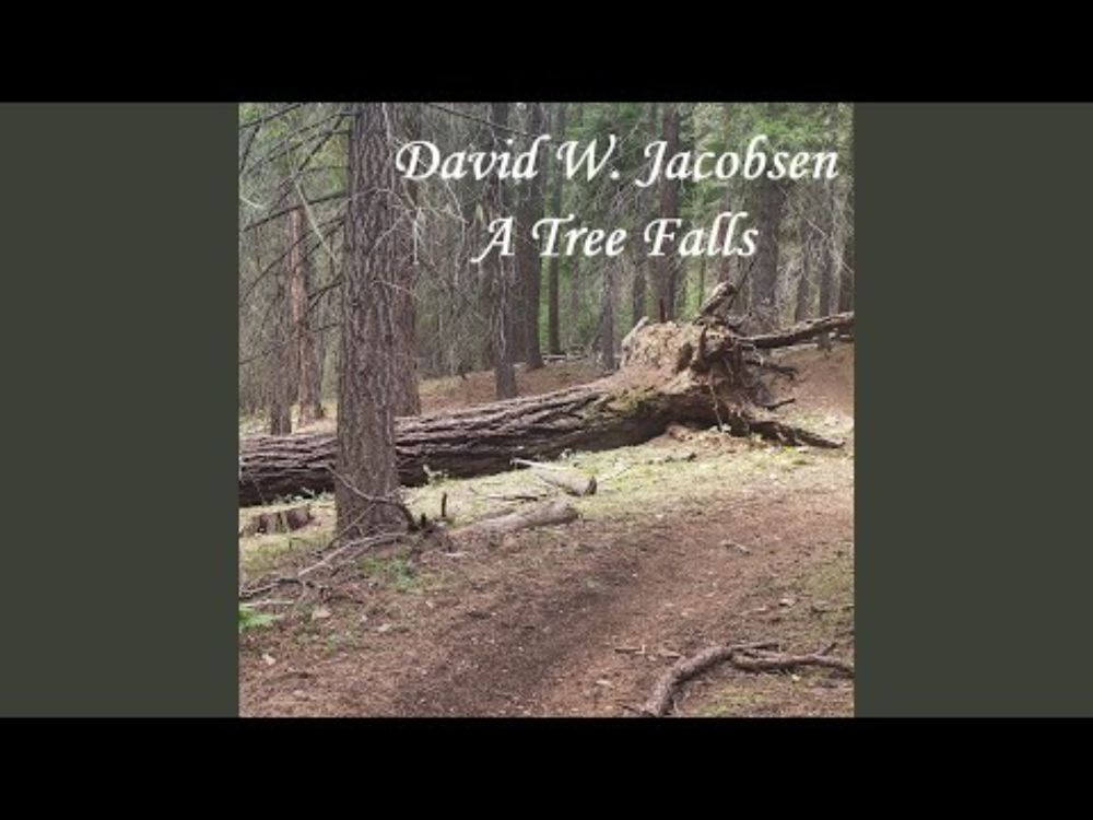 A Tree Falls