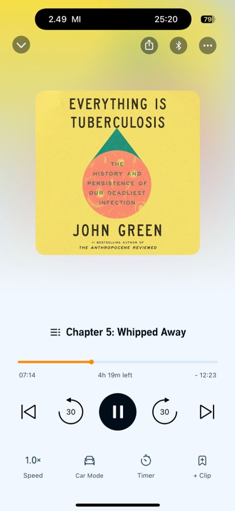 Screenshot of the audiobook everything is tuberculosis by John Green