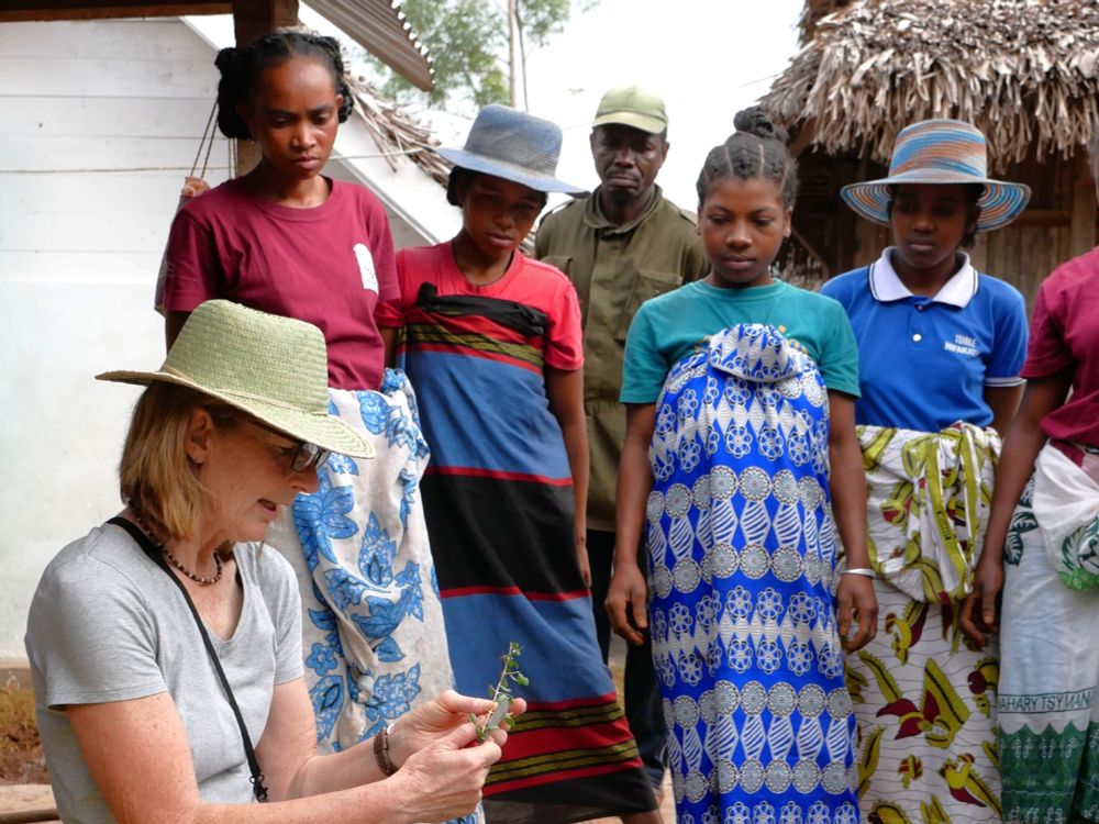 A woman in a grey shirt and straw hat showing a group of other women how to treat a plant cutting. The other women are wearing colourful clothes. 