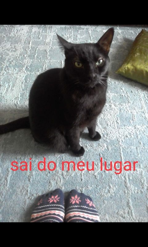Comment image