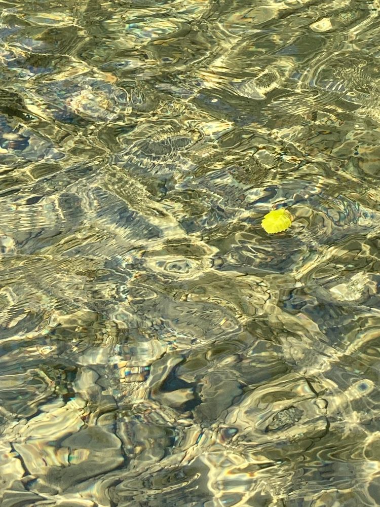 A pale green leaf floating on rippling water that distorts the color and shape of the stones below the surface.