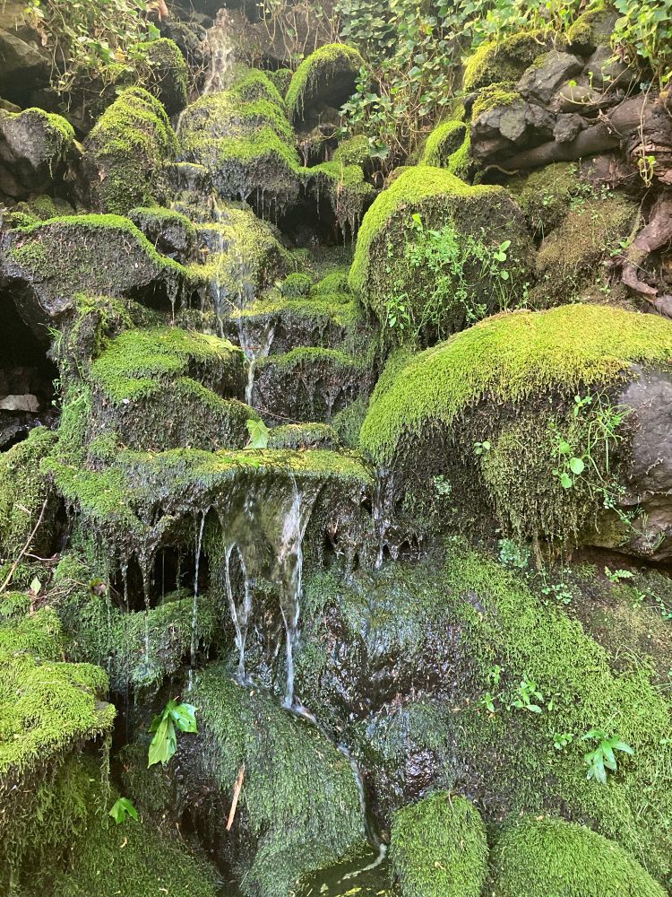 Moss covered rocks with a small stream of water cascading over them