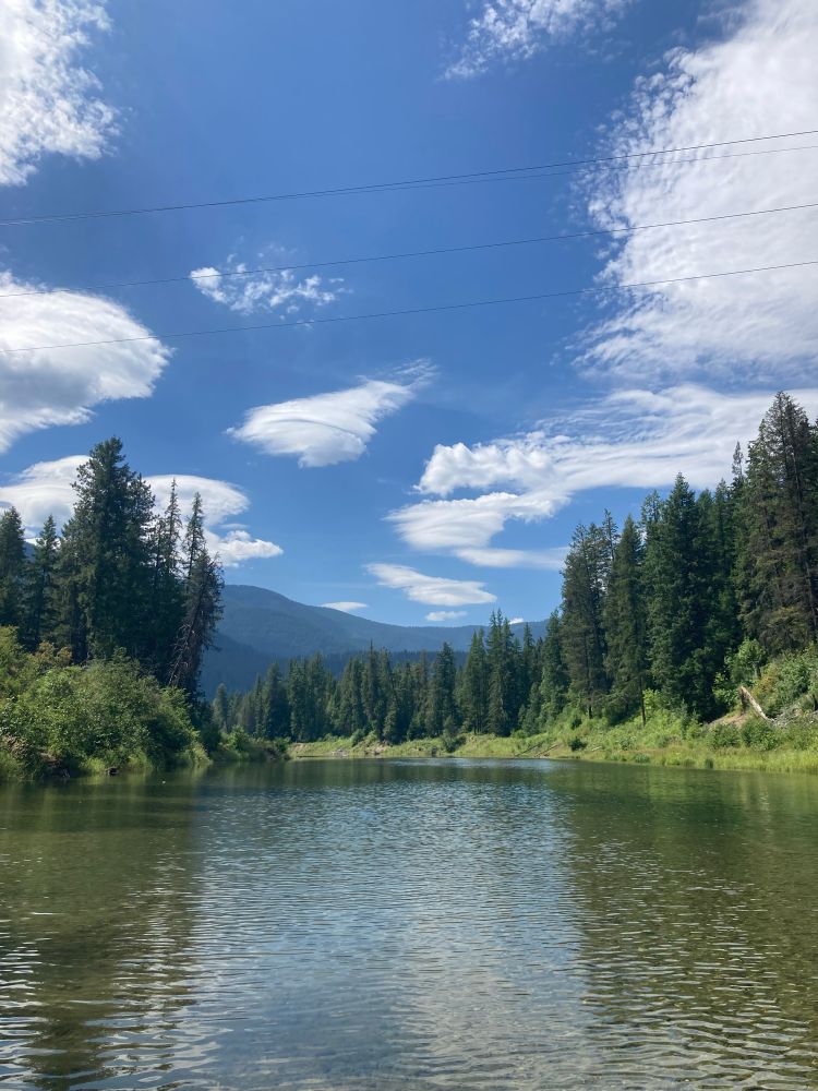 River viewed from the middle of the stream. Evergreen trees line both banks and there are wispy clouds above.