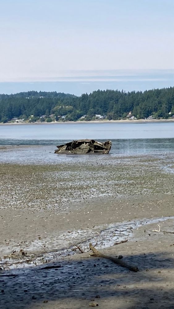 Old shipwreck exposed on the beach at low tide