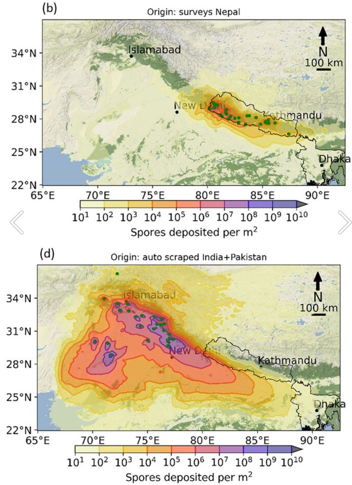 Maps of deposition of stripe rust spores from NAME simulations using sources generated from crop disease surveys within Nepal (top) and sources generated from automated media scraping in India and Pakistan (bottom)