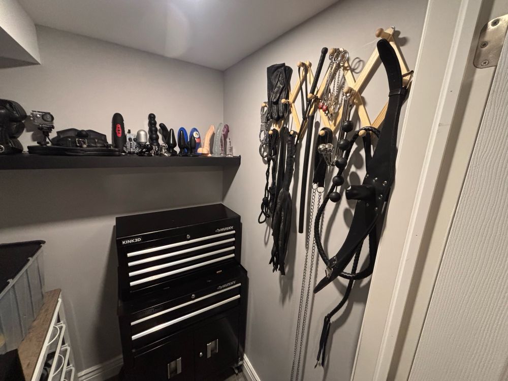 Photo of bondage gear (gags, dildos, whips, crops, floggers.) organized neatly on a shelf in a closet or hanging from wall hooks.