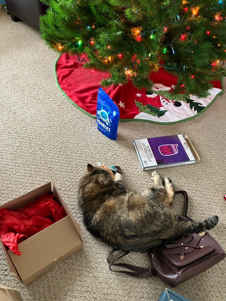 Tabby cat wrestling with a crinkly toy while half on top of a purse. Nearby are two other gifts, a box full of tissue paper, and the base of the Christmas tree.