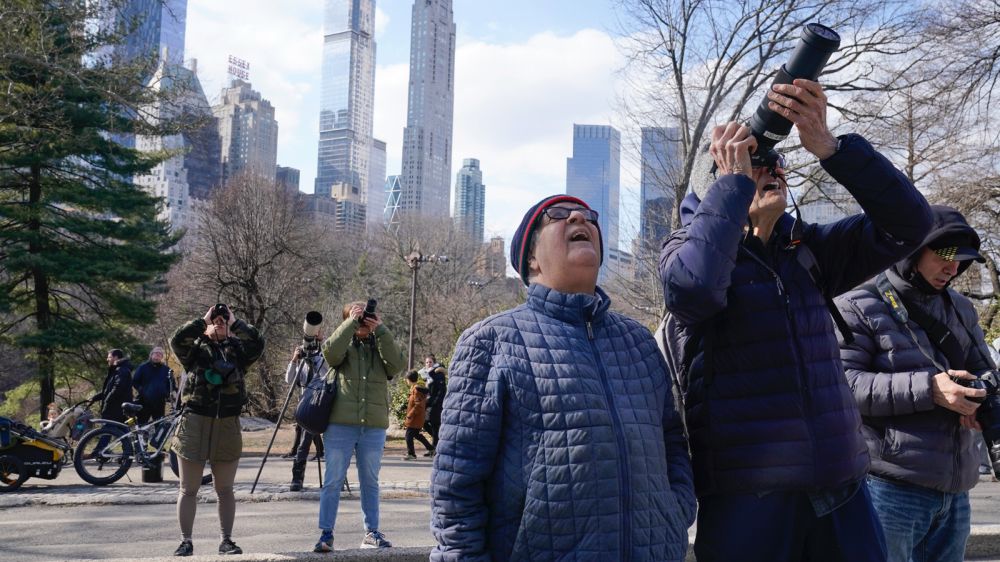 A year later, Flaco the owl's escape from the Central Park Zoo remains a mystery