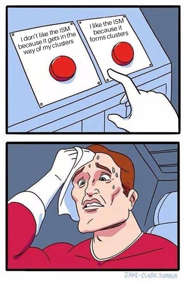 A meme about struggling to choose between liking or hating the ISM