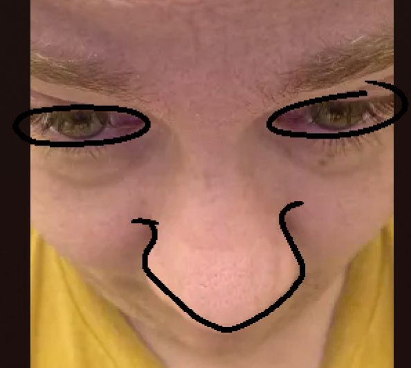 Lines are drawn over one of the photos in the discord screenshots of the previous post. There are circles around the eyes and the nose is outlined in a way that makes it look like a big smile.