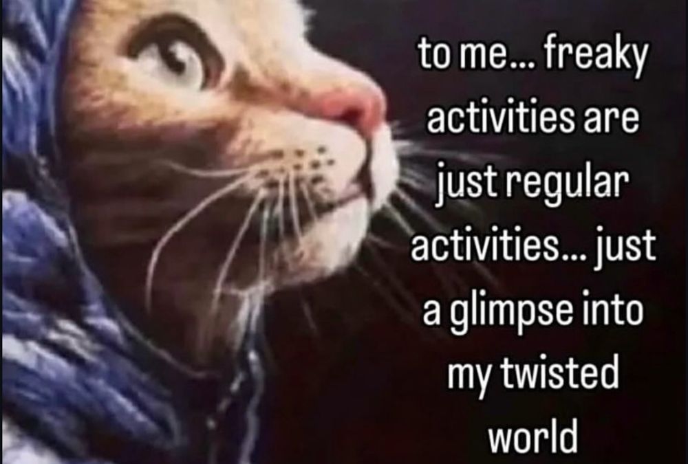A seriously awesome ginger cat in a blue raincoat looking to the right. Text reads: “to me… freaky activities are just regular activities… just a glimpse into my twisted world” /s