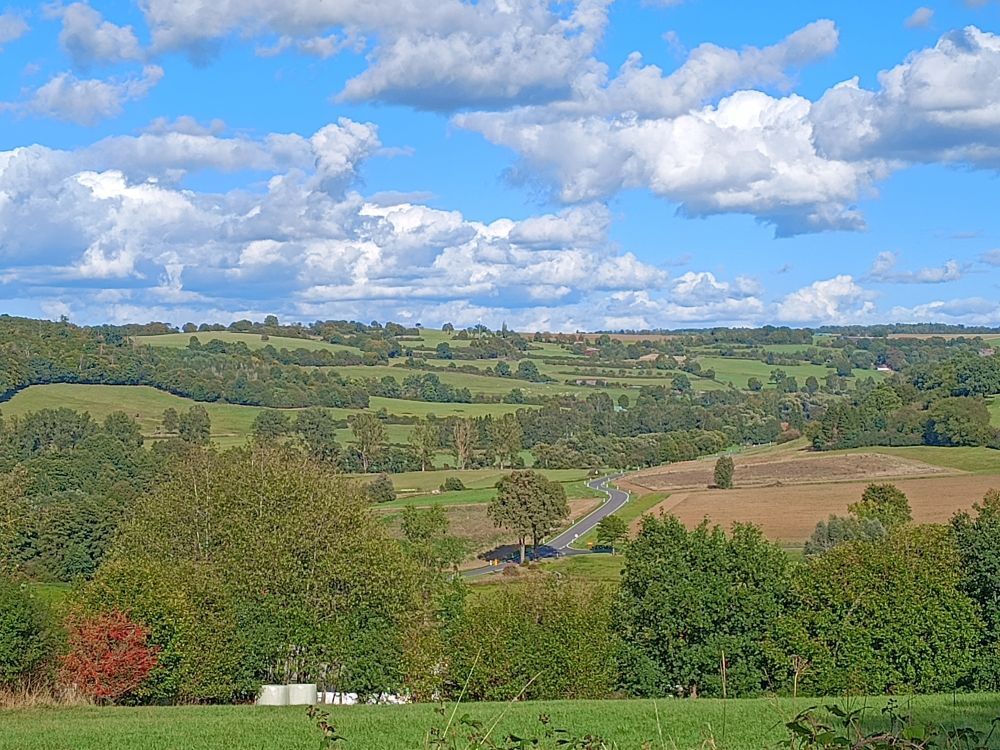 Landschaft mit leicht bewölktem blauen Himmel, Wirsen und Hecken