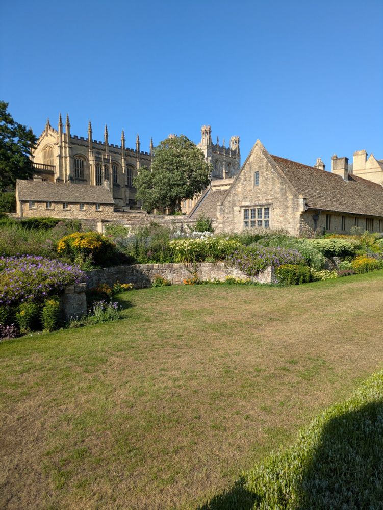 Christ Church in the background with plants and grass in the foreground 