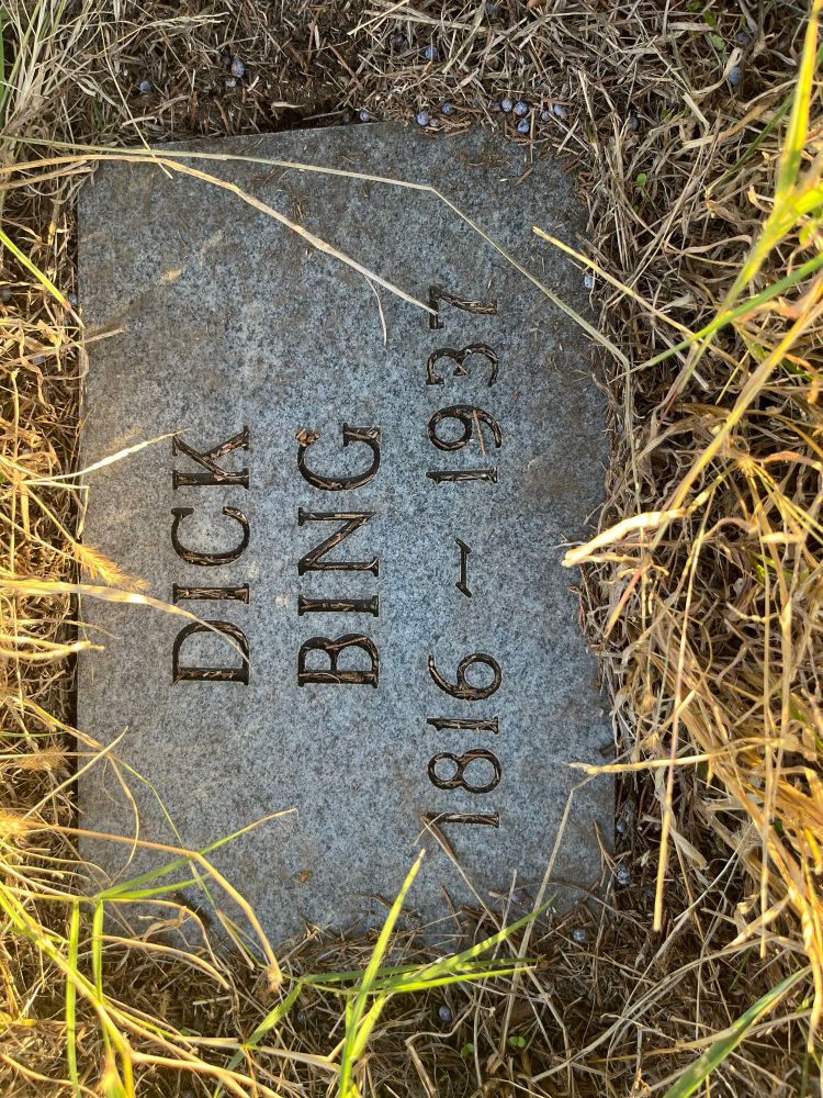 A granite grave marker set into the ground, with the grass and juniper berries freshly cleaned off it, viewed from directly above. It is labeled 

DICK BING
1816-1937