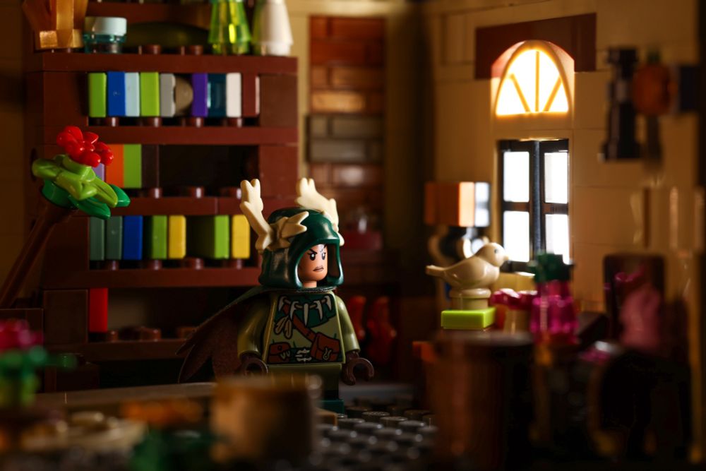 LEGO DND Mini figure photography 