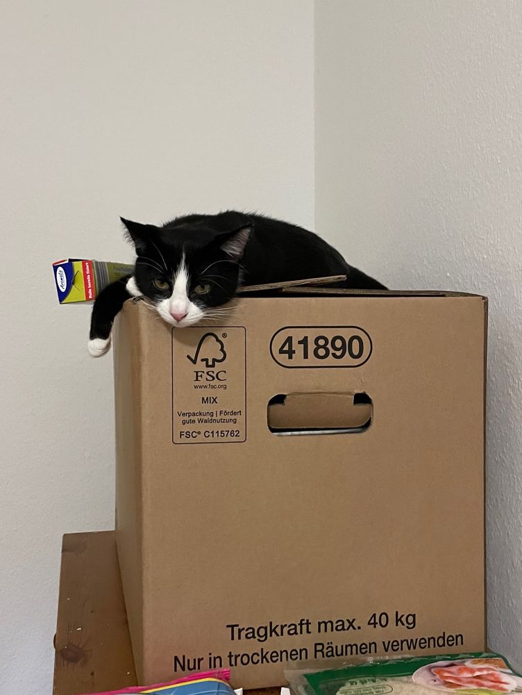 socke liegt auf einem umzugskarton