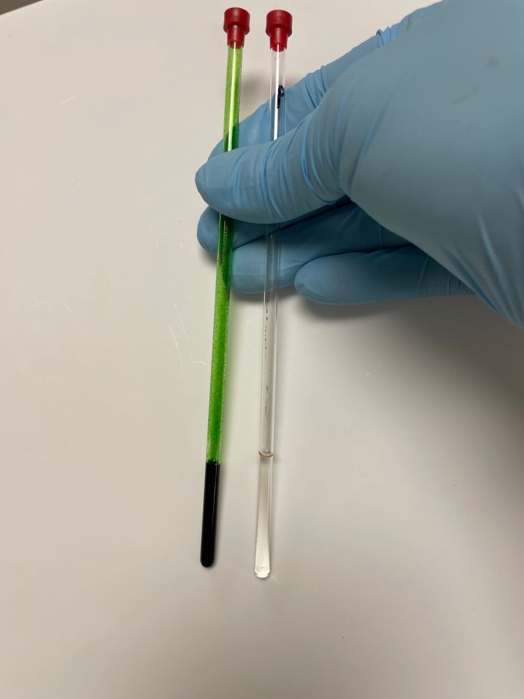 Two nmr tubes held in a gloved hand against a white background. The one on the left side contains a deep green coloured solution and the one on the right side contains a colourless solution.