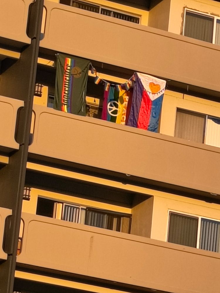 Picture of someone's balcony, they're flying a rainbow flag that says peace, a polyamory flag, and hunter green flag that has a rainbow on it and the flag says Jägermeister.
