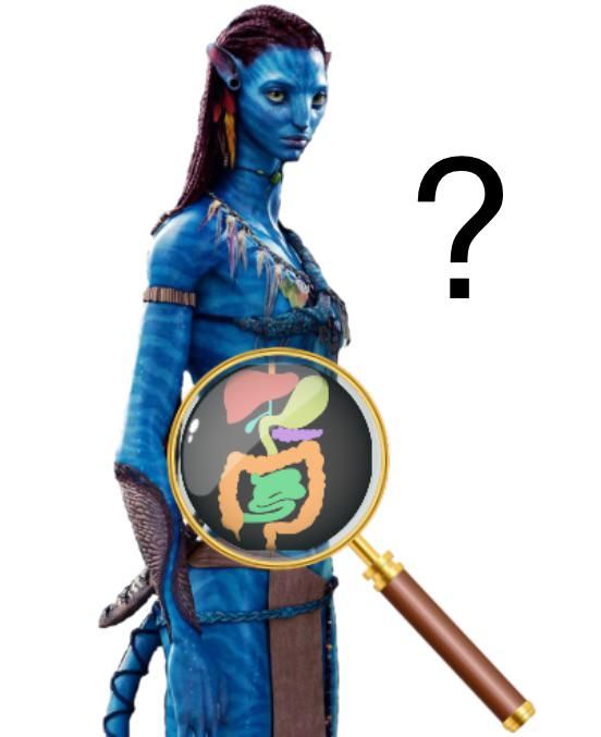 Picture of Neytiri from Avatar standing with her arms at her side. A cartoonish clipart picture of a magnifying glass is focused on her stomach and the image inside is a colorful block picture of internal organs including a human liver, stomach, pancreas, small and large intestine. There is also a question mark floating beside her.