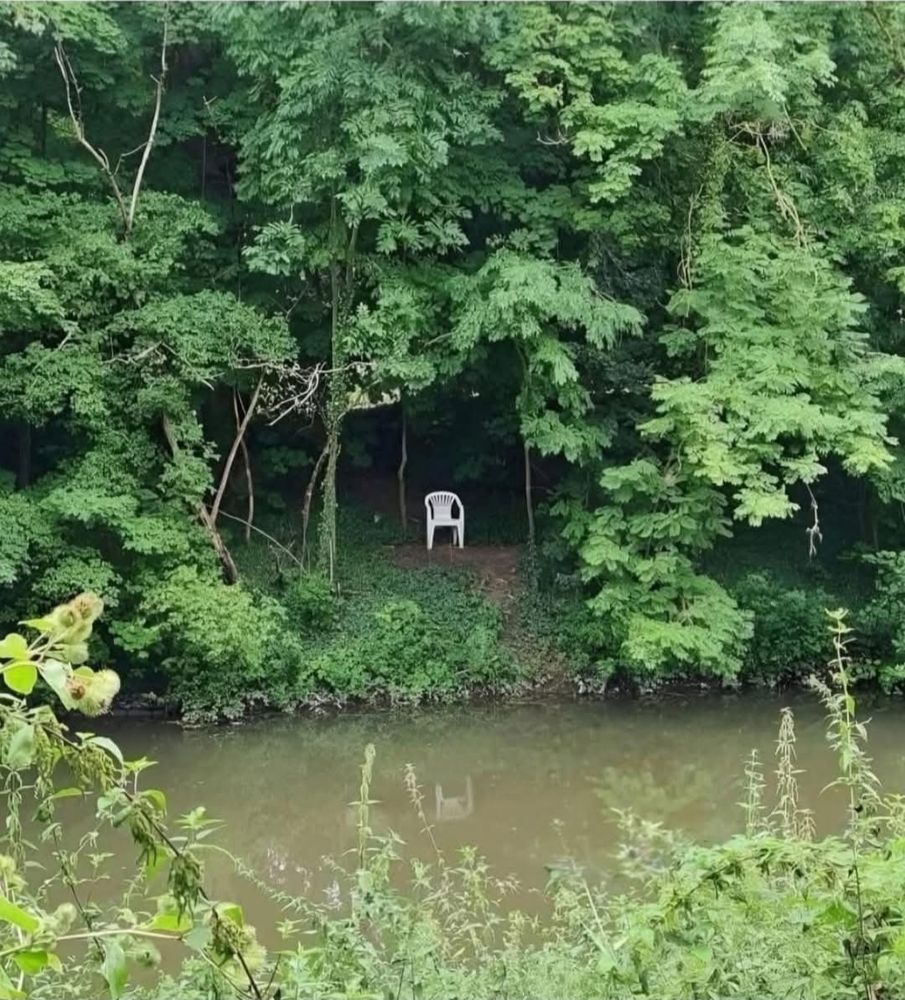 A cheap plastic patio chair in the woods overlooking a small pond 