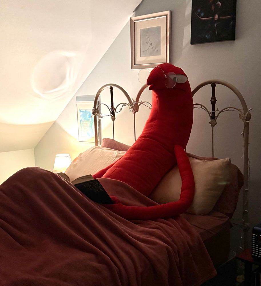 allan from smiling friends in bed reading a book