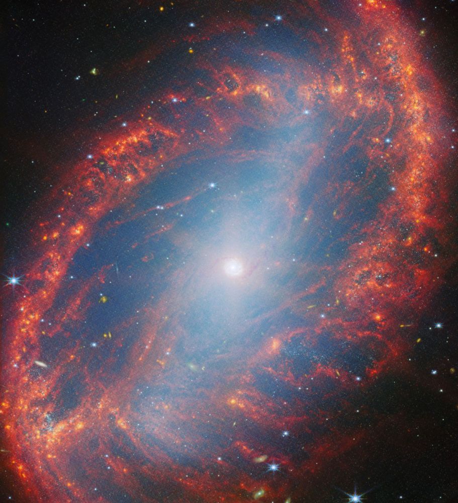 An oval-shaped spiral galaxy, seen close-up. Its core is a compact, pale spot that glows brightly, filling the disc with bluish light. Faint strands of pale reddish dust swirl out from the core to the far sides of the disc. They each join up with an arm of thick, cloudy, red dust with brighter orange patches, that follows the edge of the disc around to the opposite end and a little off the galaxy.