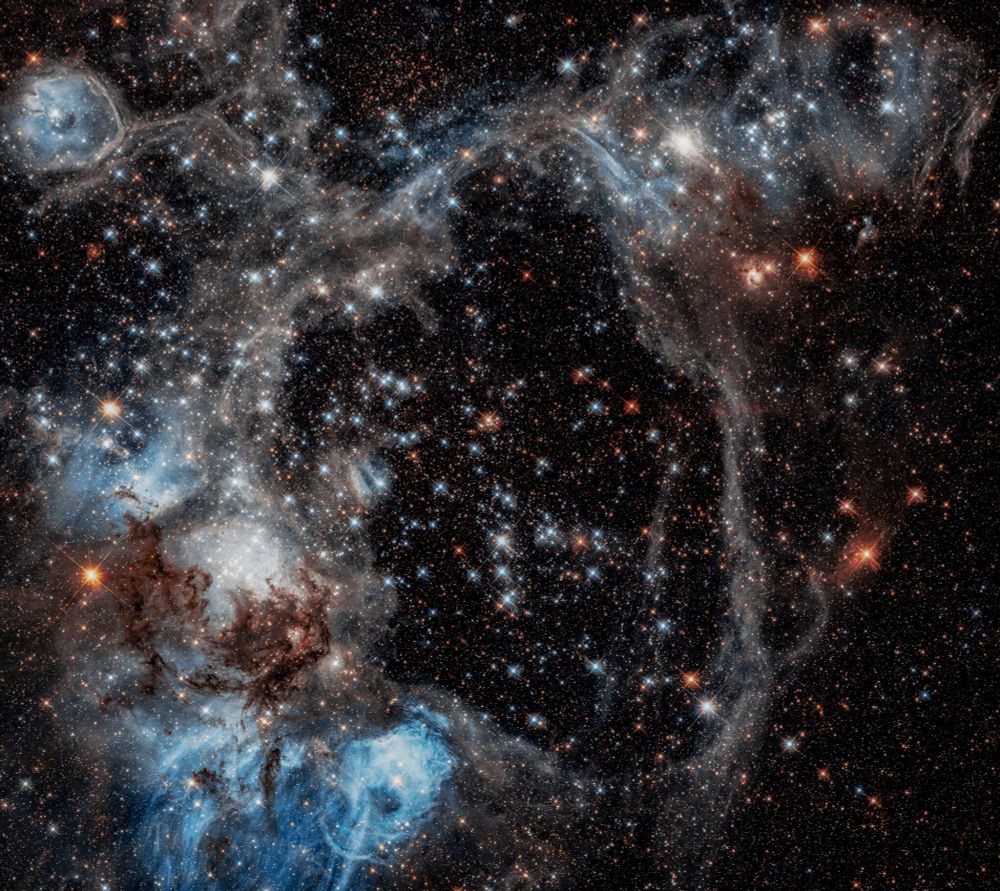 This Hubble Space Telescope image captures N44, a star-forming region in the Large Magellanic Cloud. The image shows a multicolored cloud of gas and dust, sculpted by stellar winds and radiation, with bright stars shining within the dark, obscuring material. (Provides context and specific details)
