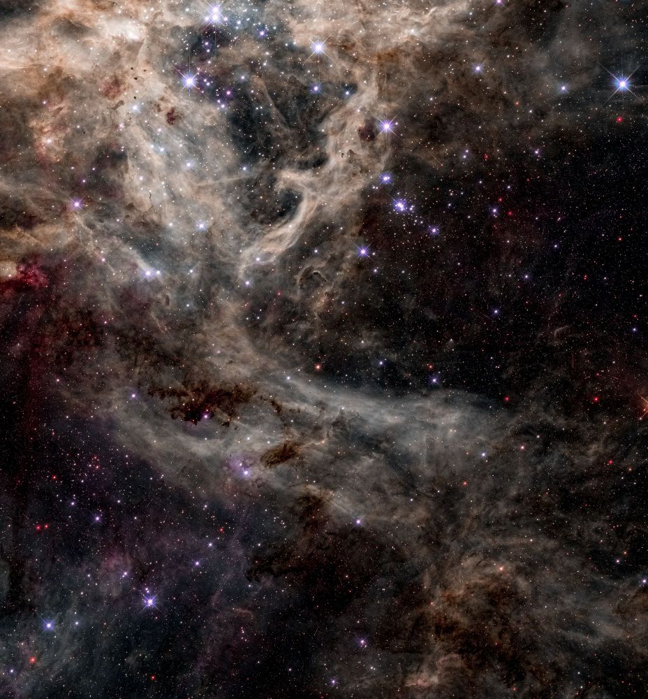 Captured by the Hubble Space Telescope, this image showcases the dynamic beauty of NGC 2070, a young and luminous star cluster residing within the Large Magellanic Cloud.  The cluster's brilliant core illuminates a swirling canvas of gas and dust, where vibrant nebulae in hues of red, white, and blue mix with dark, obscuring patches.  This rich tapestry of light and shadow highlights a region of intense star formation, where newborn stars energize the surrounding clouds and sculpt the cosmic landscape with their powerful radiation and stellar winds.  NGC 2070 offers a stunning glimpse into the raw energy and ongoing creation of stars within a nearby galaxy.