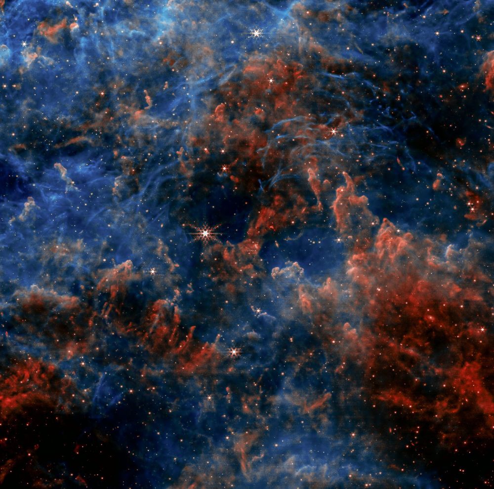 The Tarantula Nebula, also known as NGC 2070, is a star-forming region located in the Large Magellanic Cloud. This image, captured by the James Webb Space Telescope's Near-Infrared Camera (NIRCam), showcases the nebula's intricate structure and vibrant colors. Red hues indicate the presence of hot, ionized hydrogen gas, while blue areas reveal cooler dust and gas.
