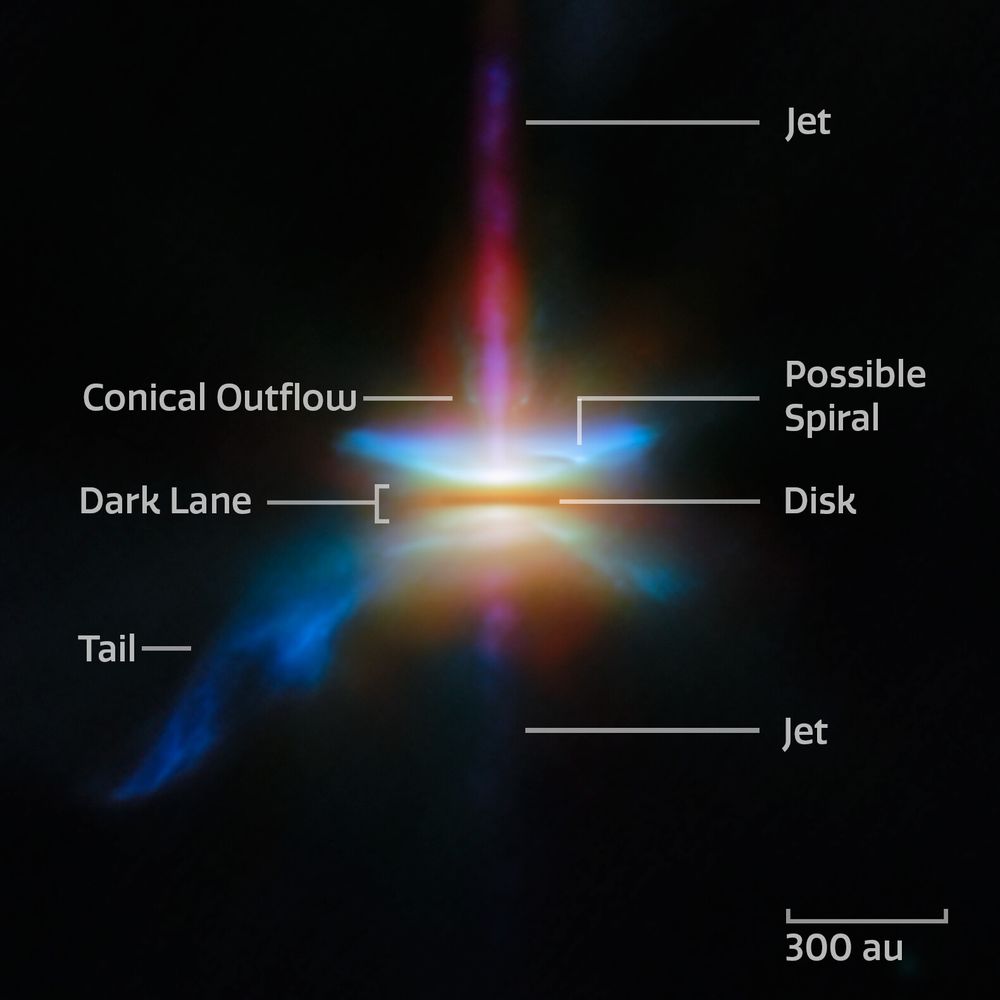 A close-in image of protoplanetary disc HH 30. Parts of the image are labelled “Jet” (above and below the disc), “Conical Outflow”, “Possible Spiral”, “Dark Lane”, “Disk”, and “Tail”. A scale marker in the bottom-left is labelled “300 au”; this is a little wider than the disc itself, but less wide than the conical outflows above and below the disc
