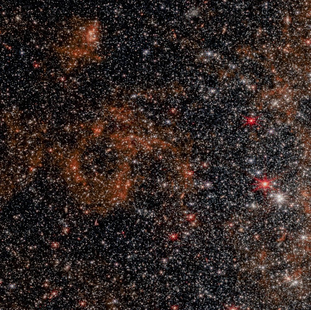 This image captures a portion of the outer spiral arm of the Triangulum Galaxy, our nearest galactic neighbor after Andromeda. The image is dominated by a multitude of stars, ranging from bright, young, blue stars to cooler, redder stars. There are also hints of dust lanes and gas clouds, suggesting active star formation in this region. The Triangulum Galaxy, also known as M33, is a spiral galaxy similar to our own Milky Way, and studying its structure and stellar populations can provide insights into galaxy evolution.