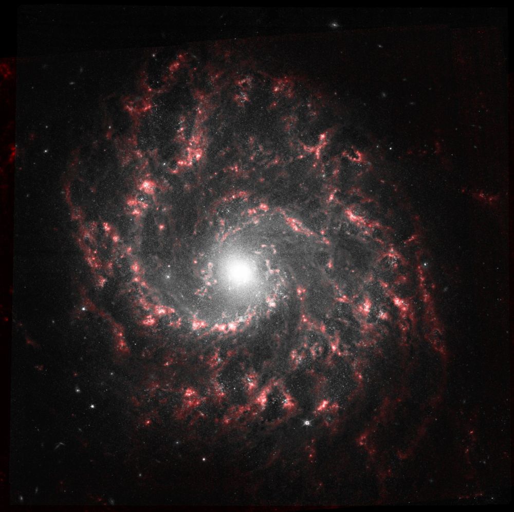 A stunning infrared image of the spiral galaxy NGC 3596, captured by the James Webb Space Telescope. The galaxy's intricate spiral arms wind outwards from a bright central core, filled with countless stars. The image reveals a wealth of detail, including dark dust lanes and bright star-forming regions that glow in shades of red and pink.