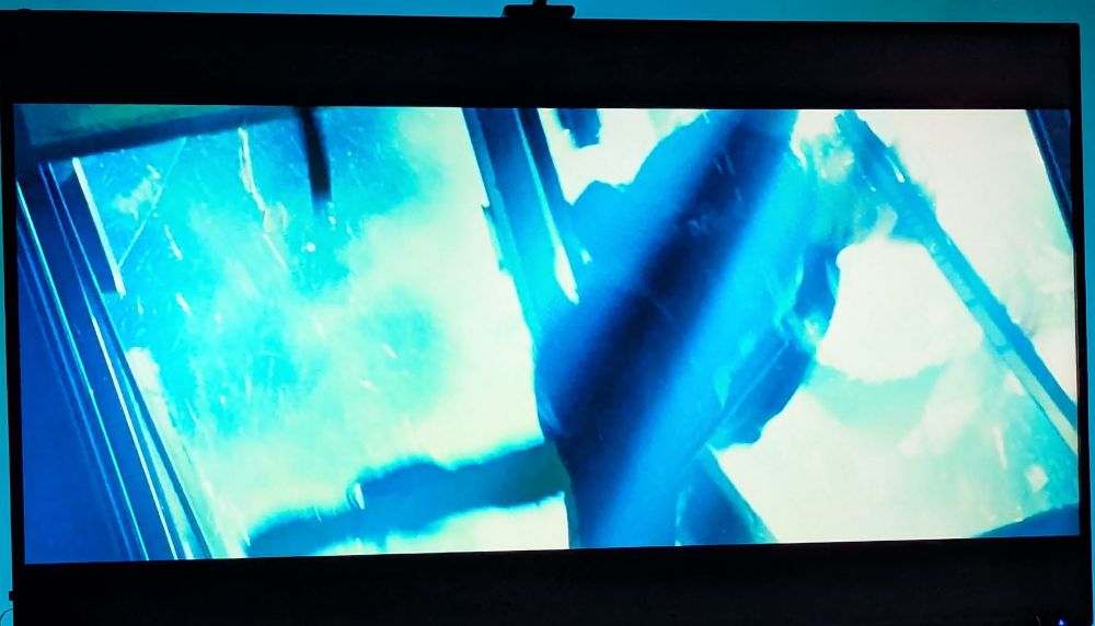 Bella went through a window