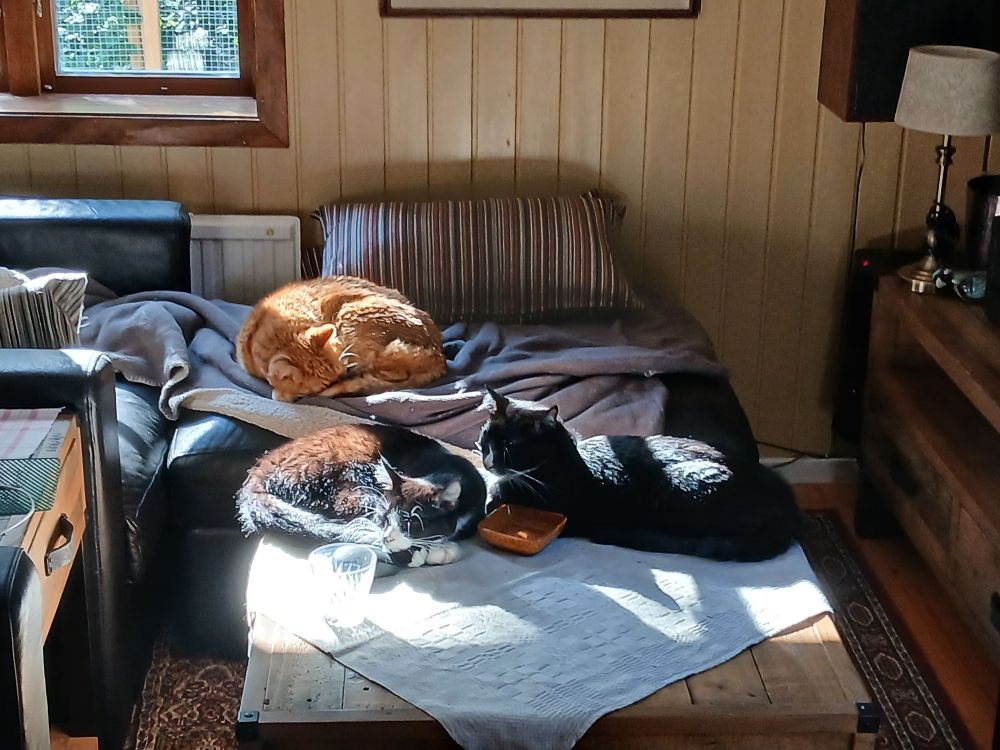 Sigge, Fanny and Gusten.