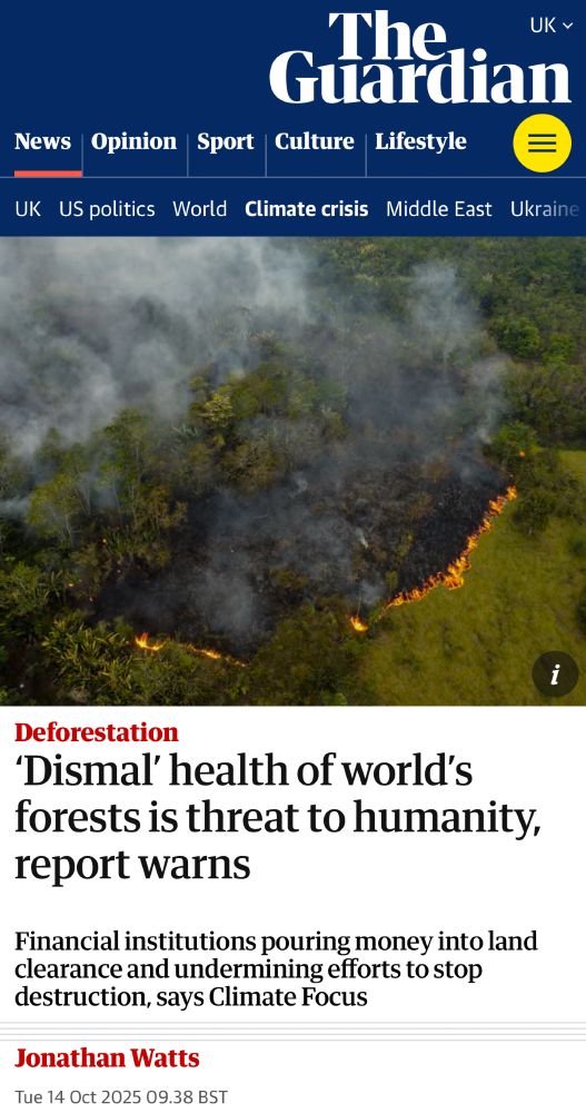 The Guardian: "'Dismal' health of world's forests is threat to humanity, report warns. Financial institutions pouring money into land clearance and undermining efforts to stop destruction, says Climate Focus. Jonathan Watts, 14th Oct."