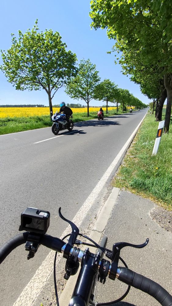 A two lane road next to a canola field.
