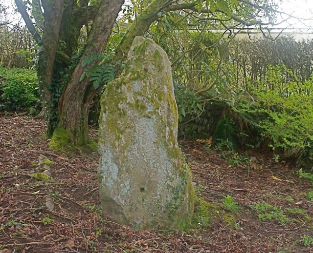 The stone