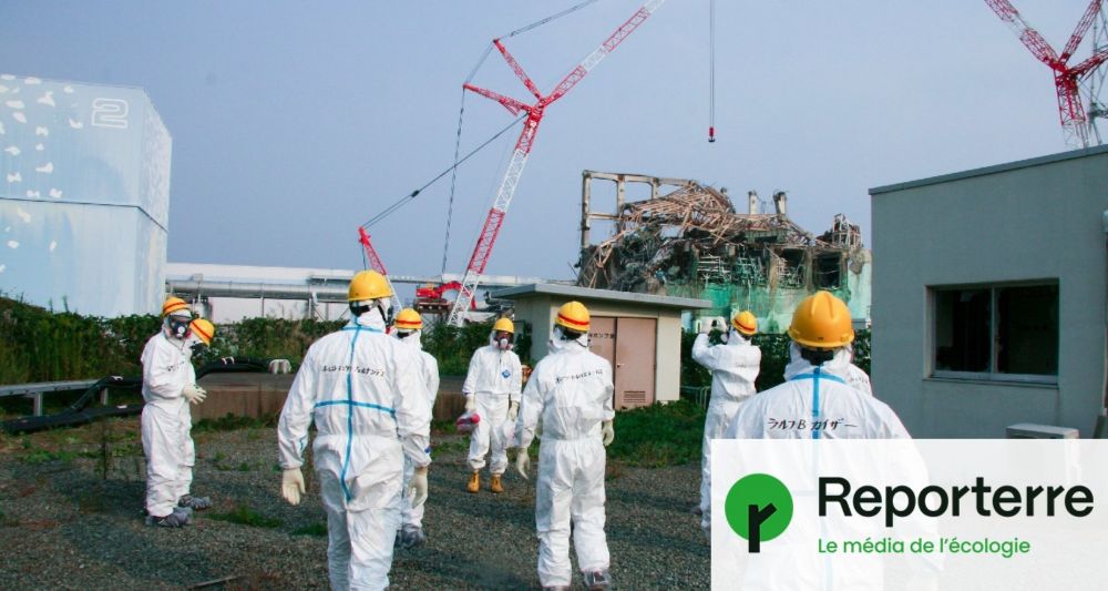 Fukushima, le bilan humain est plus lourd qu'annoncé